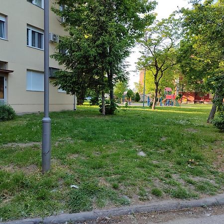 Apartman Studio Blue Subotica Buitenkant foto